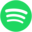 Spotify icon