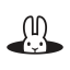 Research Rabbit 图标